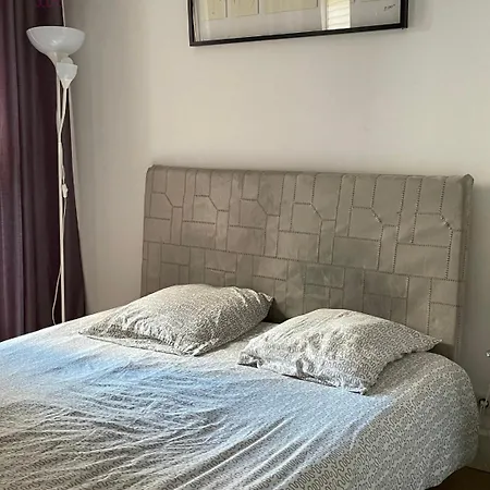 Le Honeymoon - Petite France Apartment Strasbourg Exterior photo